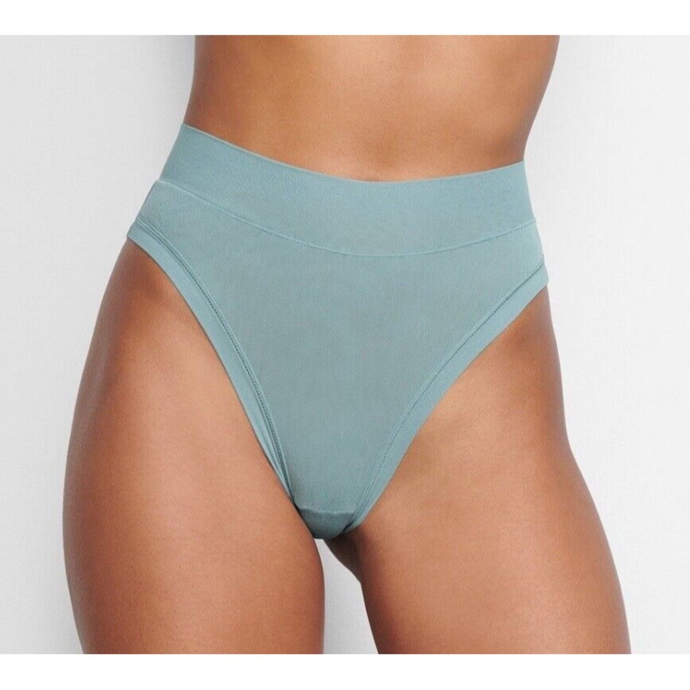 SKIMS Fits Everybody Thong Panty Panties Women's 4X Arctic Blue Green Sexy NEW